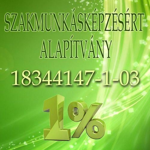Szakmunkásképzésért alapítvány